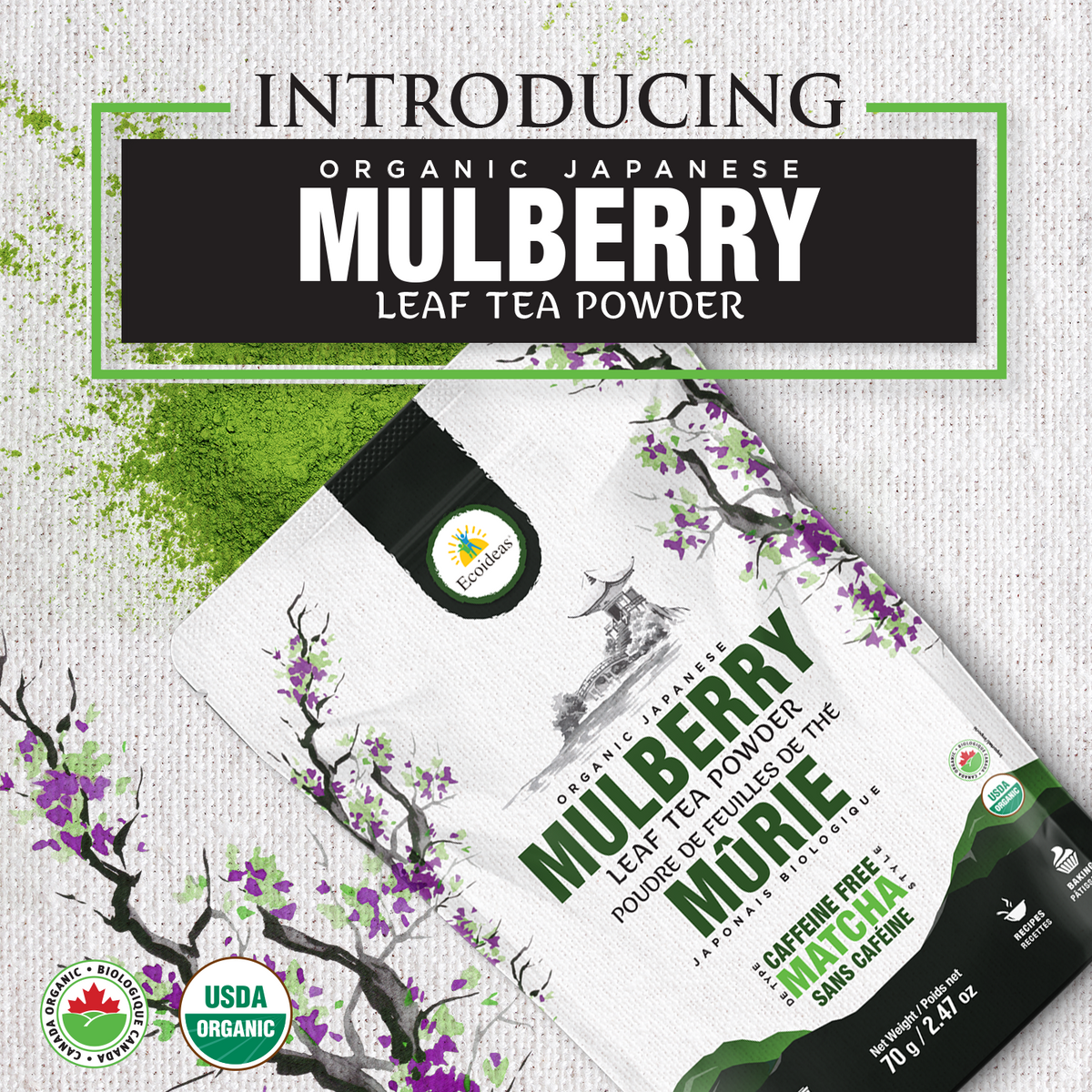 Product Launch: Ecoideas Organic Mulberry Leaf Tea Powder