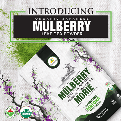 Product Launch: Ecoideas Organic Mulberry Leaf Tea Powder