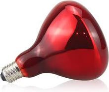 15 W Bulbs - Red